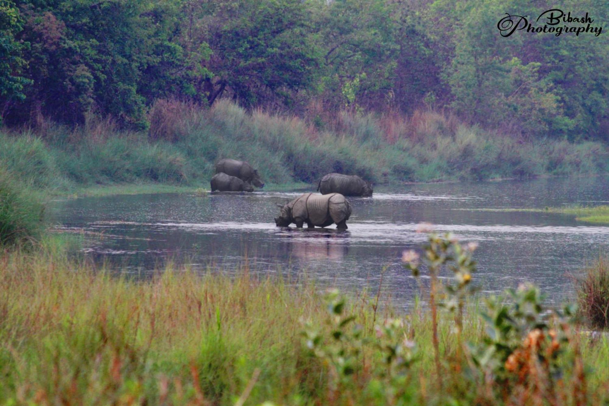 Mr. B'S Place Bardiya Buitenkant foto