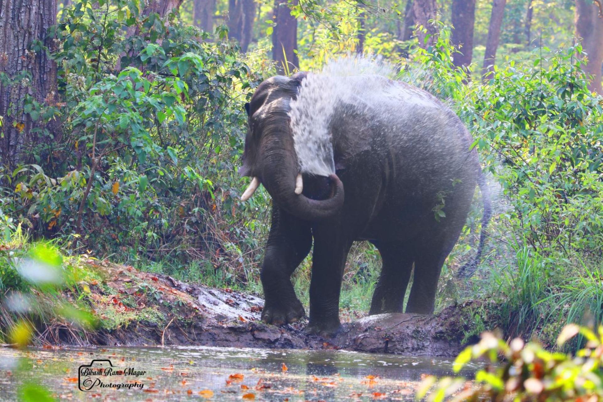 Mr. B'S Place Bardiya Buitenkant foto